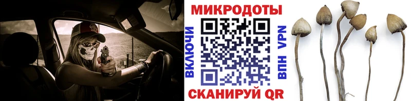 Псилоцибиновые грибы Psilocybine cubensis  наркотики  Эртиль 